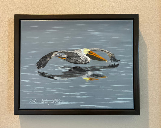Original Oil Painting - "Grey Pelican Low Pass"